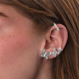 Puño de oreja Maxi Alisea