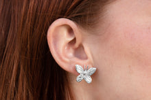 Load image into Gallery viewer, Alisea earrings
